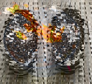 A small fire sits within a small metal pit