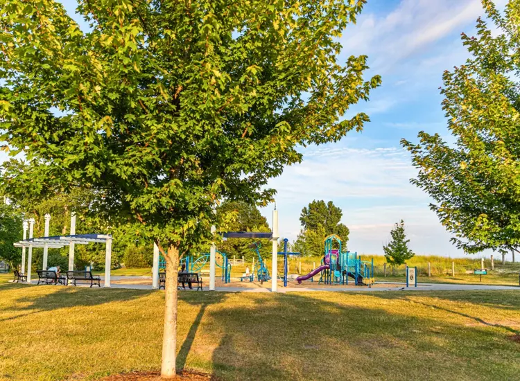 A modern playground during the sunset